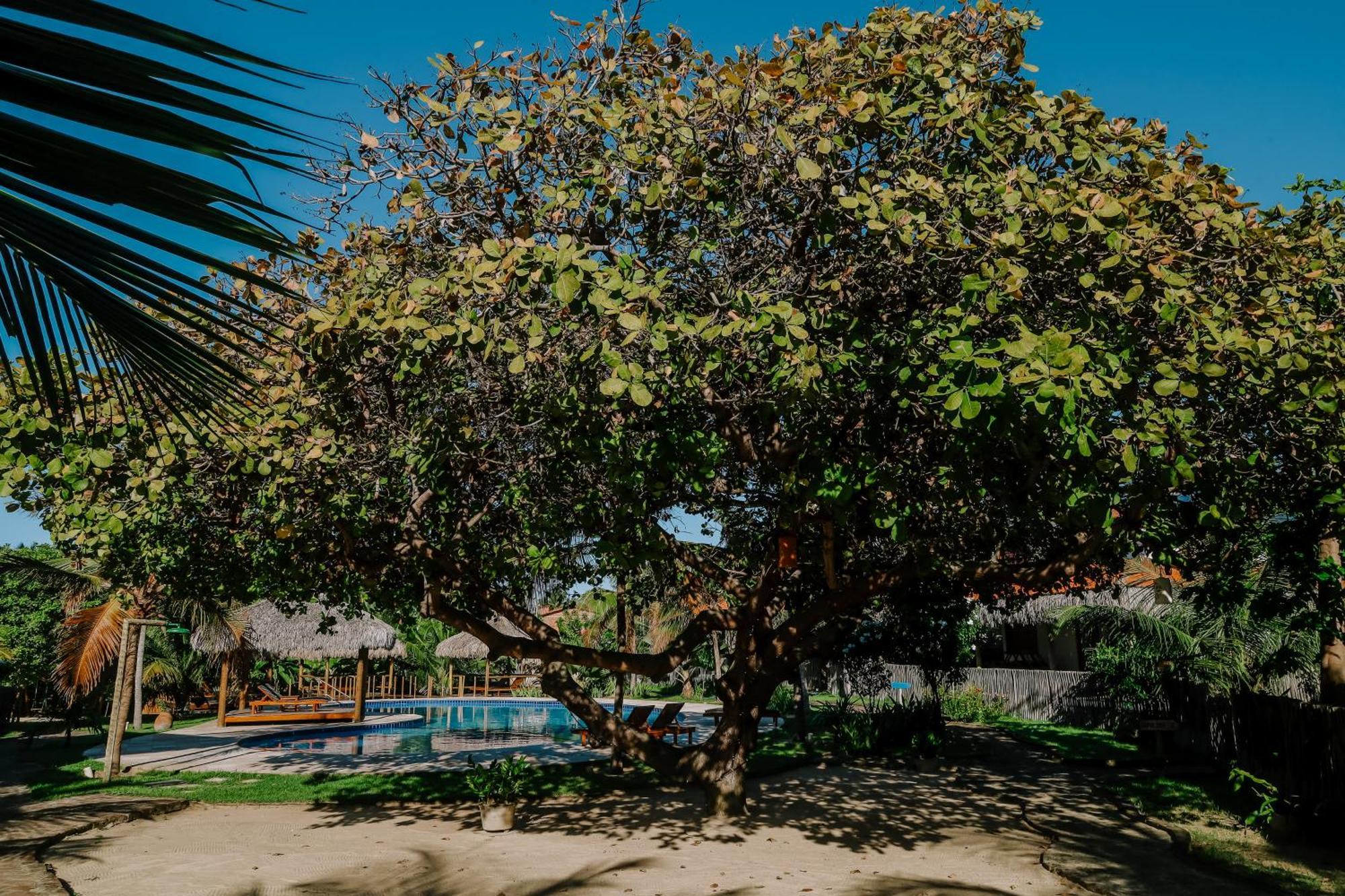 Casas Capulana Villa Icaraí Exterior foto
